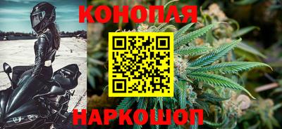 прущая мука Гай