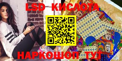 2c-b Гатчина