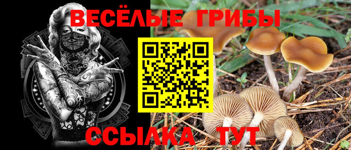 Медногорск  Псилоцибиновые грибы Psilocybine cubensis  Галлюциногенные грибы прущие грибы  Вход с VPN 